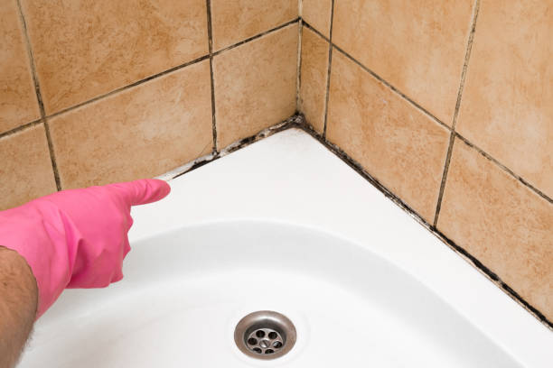 Best Mold Cleaning Services  in Ishpeng, MI